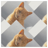 Tissu Ginger cat Merlin (Fermer)
