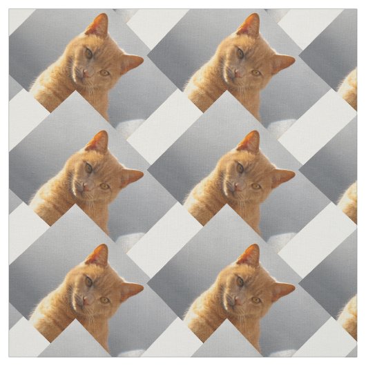 Tissu Ginger cat Merlin (Échantillon)