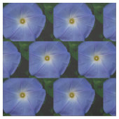 Tissu Gloire de matin bleue merveilleuse (Échantillon)