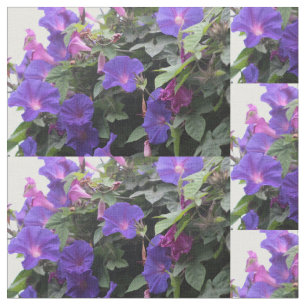 Tissu gloires matinales bleues, gloires, gloires matinal