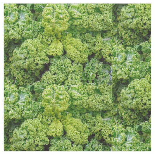 Tissu Green cabbage (Fermer)
