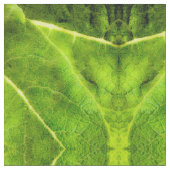 Tissu Green Mullein (Fermer)