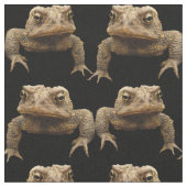 Tissu grincheux de crapauds (Fermer)