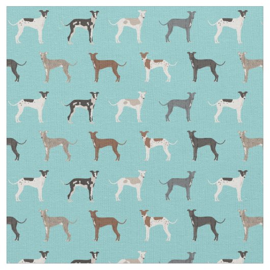 tissu gris italien bleu clair (Fermer)