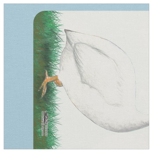 Tissu Guinée blanche (Fermer)