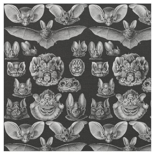 Tissu Haeckel Chiroptera 1904 (Fermer)