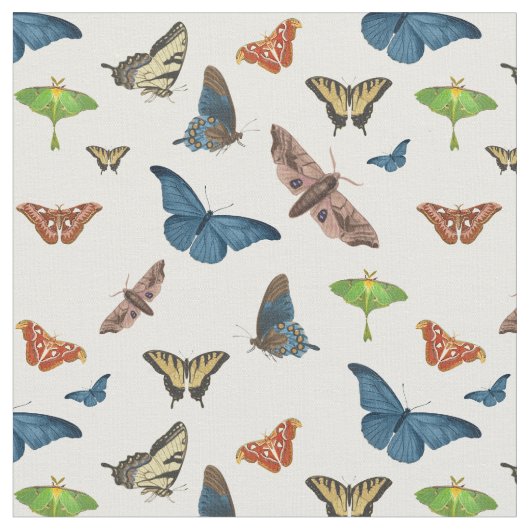 Tissu halloween creepy moth print (Fermer)