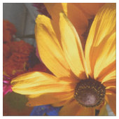 Tissu Halte (Fermer)