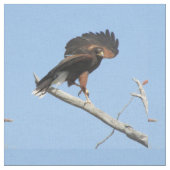 Tissu Harris colportent (Fermer)