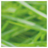 Tissu Herbe (Détail)