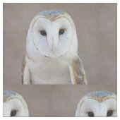 Tissu Hibou de grange (Fermer)
