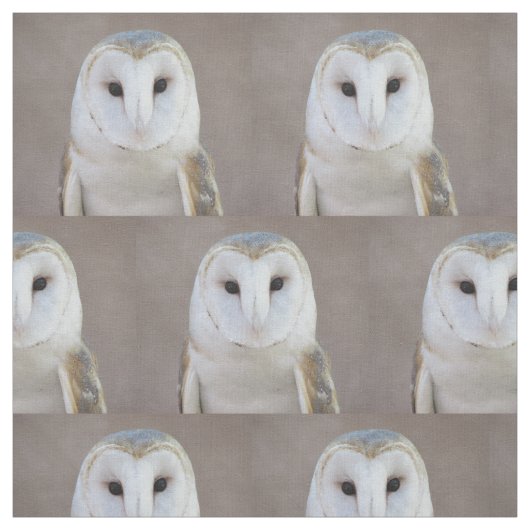 Tissu Hibou de grange (Échantillon)