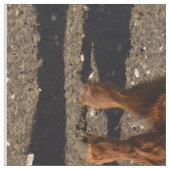 Tissu Highland Cows Photo Collage, (Fermer)