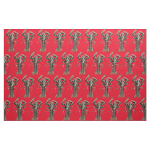 Tissu Homard frais du Maine Thunder_Cove