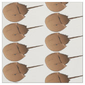 Tissu Horseshoe crab (Fermer)