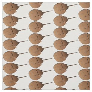 Tissu Horseshoe crab