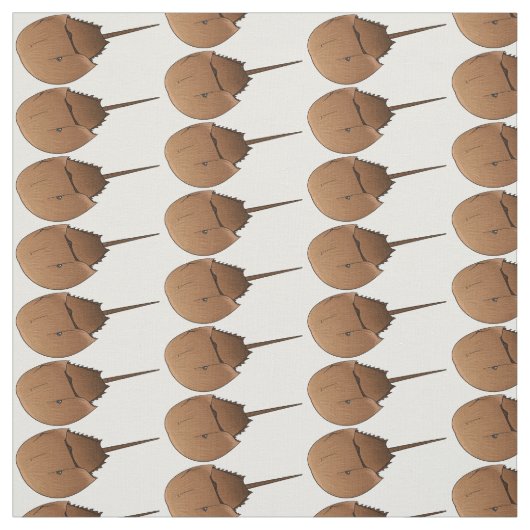 Tissu Horseshoe crab (Échantillon)