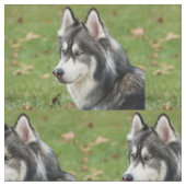 Tissu Husky (Fermer)