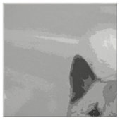 Tissu IcelandicSheepdog20151203 (Échantillon)