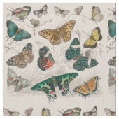 Tissu Illustration de papillon antique : 1820 Orfèvre (Fermer)