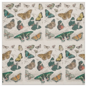 Tissu Illustration de papillon antique : 1820 Orfèvre