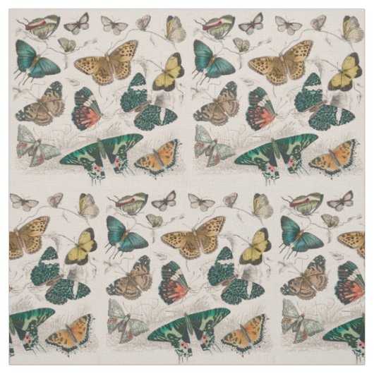 Tissu Illustration de papillon antique : 1820 Orfèvre (Échantillon)