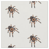 Tissu Illustration de Tarantula (Fermer)