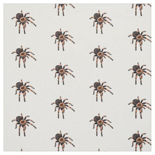 Tissu Illustration de Tarantula (Échantillon)