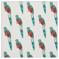 Illustration d'oiseau de quetzal resplendissant