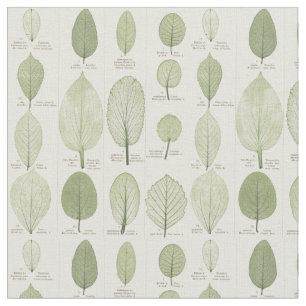 Tissu Illustrations vintages de feuille