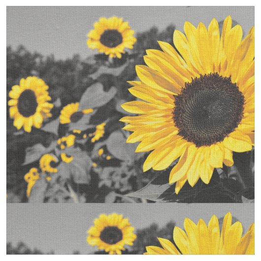 Tissu Image de tournesol (Fermer)