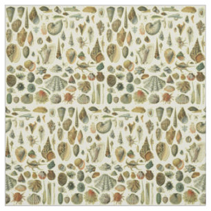 Tissu Impression vintage de coquillages d'Adolphe Millot
