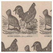 Tissu Imprimé au 19e siècle Bucks Comté poulets poulets (Fermer)
