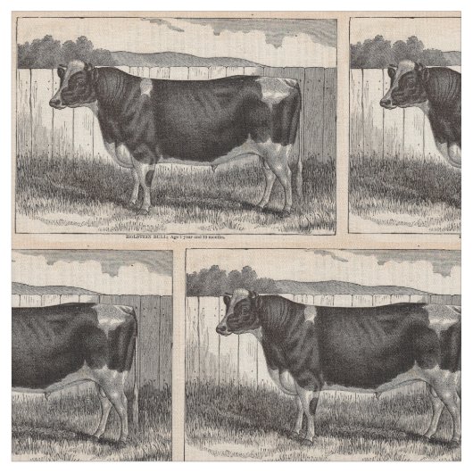 Tissu Imprimerie du 19e siècle Holstein taureau (Fermer)
