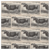 Tissu Imprimerie du 19e siècle Holstein taureau (Échantillon)