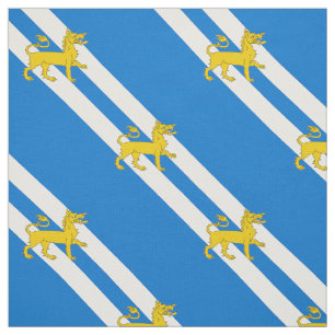 Tissu Insigne de population de la carte de crédit-pass S