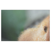 Tissu J'aime des orangs-outans (Fat Quarter)