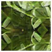 Tissu Jardin de Calendula... (Fermer)