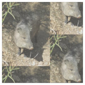 Tissu Javelina (Fermer)