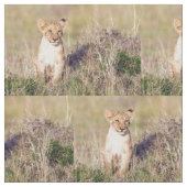 Tissu Jeune lion (Fermer)