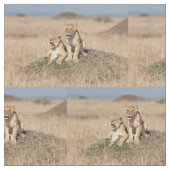 Tissu Jeunes lions (Fermer)