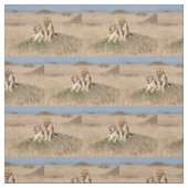 Tissu Jeunes lions (Échantillon)