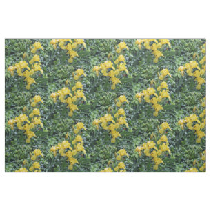 Tissu Joli Jaune Irises Fleurs De Jardin