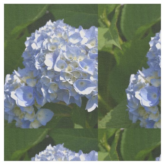 Tissu Jolie Hydrangea Flowers Bleu Bleu Clair (Fermer)