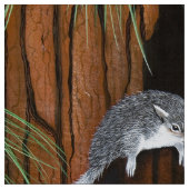 Tissu Jouer des écureuils gris (Échantillon)