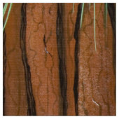 Tissu Jouer des écureuils gris (Fermer)