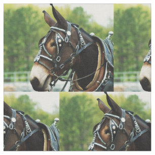 Tissu jour de mule
