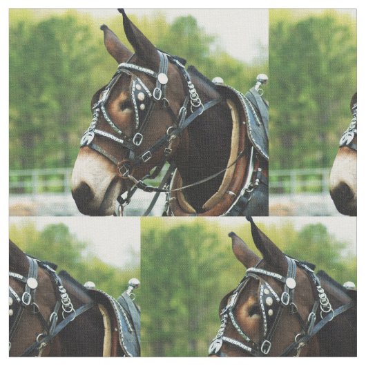 Tissu jour de mule (Fermer)