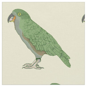 Tissu Kea New Zealand Bird