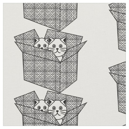 Tissu Kittens dans une boîte Thunder_Cove (Fermer)